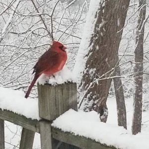 Meet your Posher, Angie